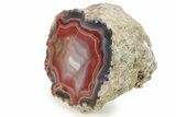 Colorful, Polished Condor Agate - Argentina #273671-2